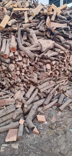 Brown Logs Dry Babool Firewood, For Burning Use, Feature : Environment Friendly