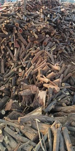 Brown Logs Wet Babool Firewood, For Burning Use, Feature : Environment Friendly