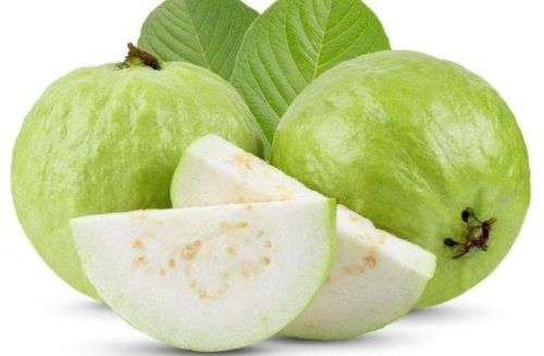 Common Fresh Guava, For Human Consumption, Packaging Type : Paper Box, Jute Bag