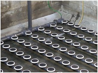 Polished Diffusers, Shape : Round