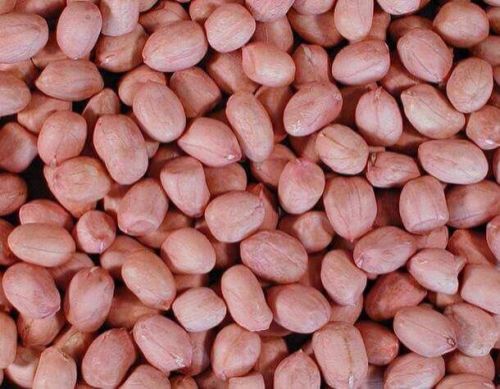 Organic Groundnut Kernels, Color : Brownish