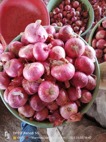 Organic Fresh Onion, For Cooking, Packaging Type : Plastic Pouch, Plastic Packet, Jute Bag, Gunny Bag