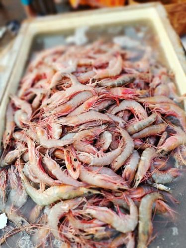 Brown Full Prawns, For Cooking, Business, Style : Dried, Fresh