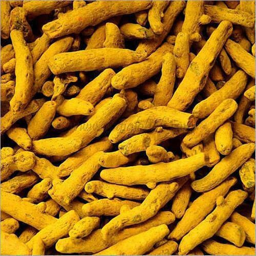 Grade A Polished Turmeric Finger For Clinical, Hospital, Personal