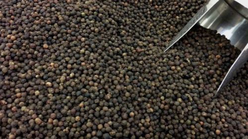 Raw Organic Granules Black Pepper For Cosmetics, Food Medicine, Spices, Cooking