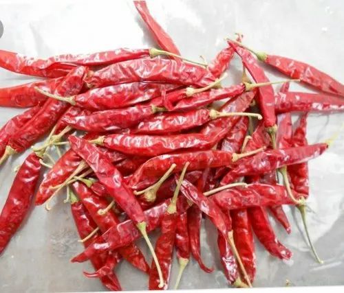 With Stem Dry Red Chillies For Cosmetics, Food Medicine, Spices, Cooking