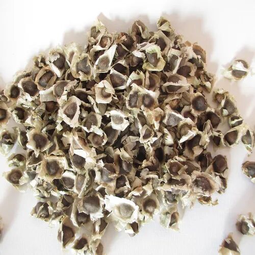 Natural Moringa Seeds