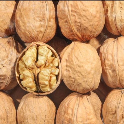 Walnuts, For Herbal Formulation, Packaging Size : 500gm
