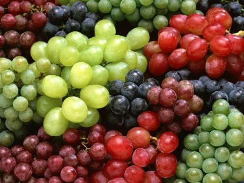 Vedha Natural Fresh Grapes, For Human Consumption