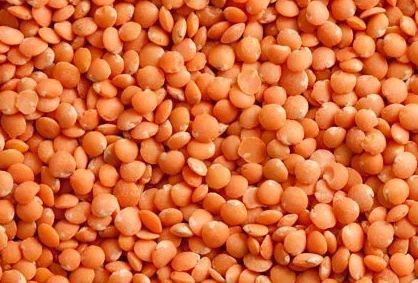 Natural Red Lentil, For Cooking, Packaging Type : Plastic Packet