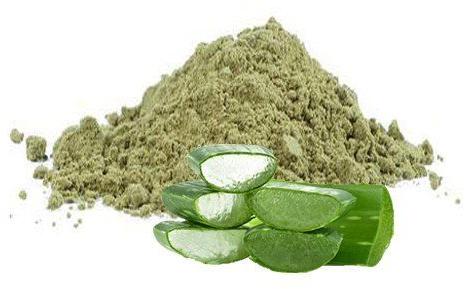 Natural Aloe Vera Leaf Powder, For Cosmetics, Herbal Medicines, Feature : High Quality, Effectiveness