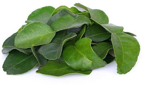 Natural Curry Leaves, Grade Standard : Food Grade