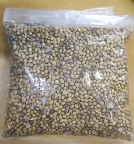 Tiptop Organic Coriander Seed, Packaging Type : Gunny Bag