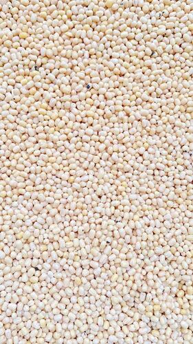 White Sabut Urad Dal, Packaging Type : PP Bag