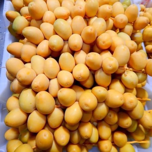 Barhi Dates, Packaging Size : 5kg