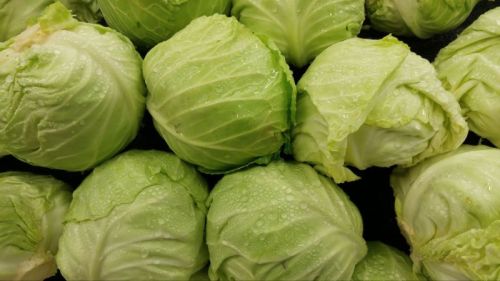 Green Cabbage, For Human Consumption, Cooking, Home, Hotels, Packaging Type : Carton