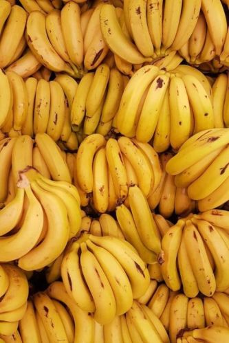 Organic Fresh Banana, Packaging Size : 10 Dozen