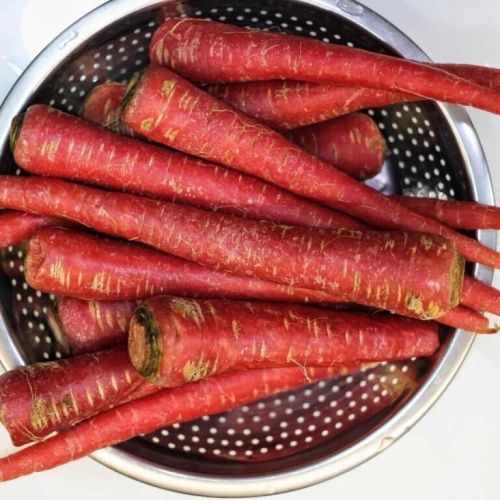 Natural Fresh Red Carrot, For Food, Taste : Crispiness, Delicious, Sweet