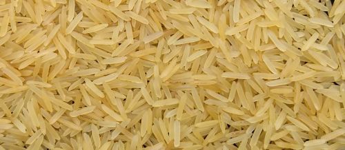 Partial Polished Soft Organic Golden Sella Basmati Rice, For Cooking, Food, Human Consumption, Packaging Type : PP Bags