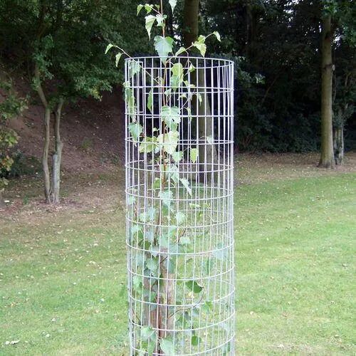 Mild Steel Tree Guard