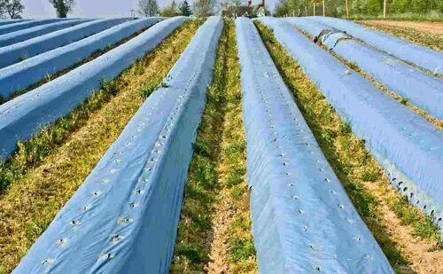 Rectangular Plastic Mulching Film, For Agricultural Farms, Feature : Durable, High Strength