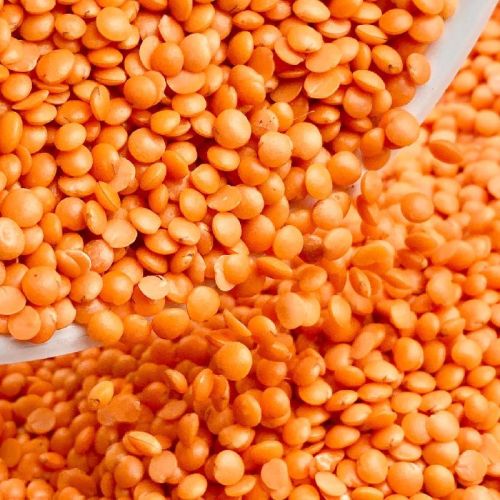 Natural Masoor Dal, Shelf Life : 1year