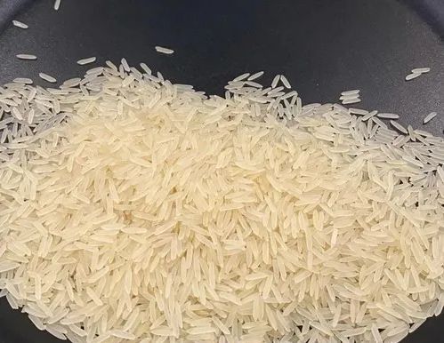 1401 Creamy Sella Basmati Rice, For Human Consumption, Certification : FSSAI Certified