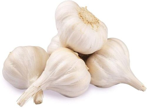 Organic Fresh Garlic, For Cooking, Style : Natural