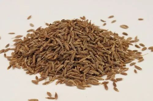 Green Cumin Seeds, Shelf Life : 24 Months