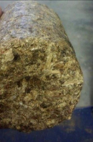 90mm Groundnut Briquette, For Charcoal, Style : Whole