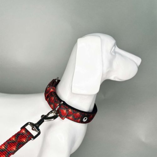 PetNexus Nylon Enlightened Pin Buckle Collar