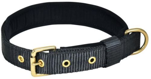 Pin Buckle Dog Collar Neck Belt (Black)