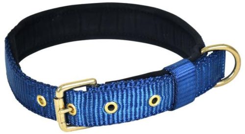 Pin Buckle Dog Collar Neck Belt (Navy Blue)