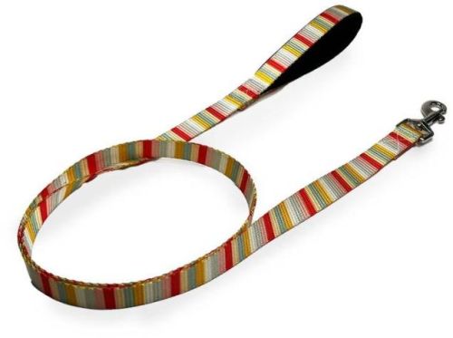 PetNexus Nylon Poolside Chilling Standard Leash