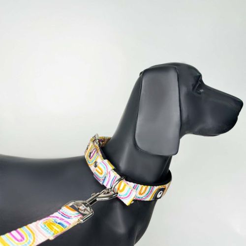 PetNexus Nylon Pride Pin Buckle Collar
