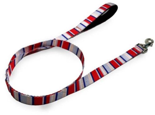 PetNexus Sunday Brunch Standard Leash