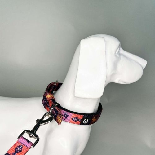 Petnexus Nylon Zootopia Pin Buckle Collar