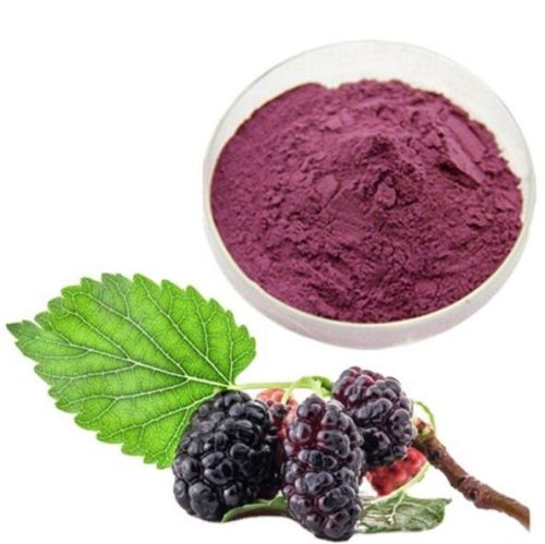 Natural Spray Dried Mulberry Powder, Grade : Food Grade