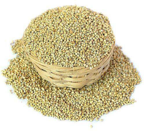 Green Fine Processed Pearl Millet, For Cooking, Packaging Type : Plastic Bag