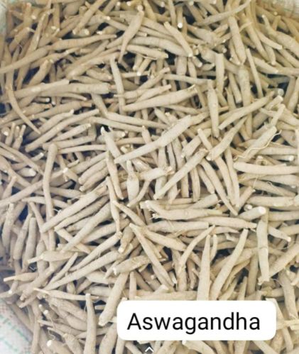 Ashwagandha Roots, For Herbal Products, Medicine, Style : Dried