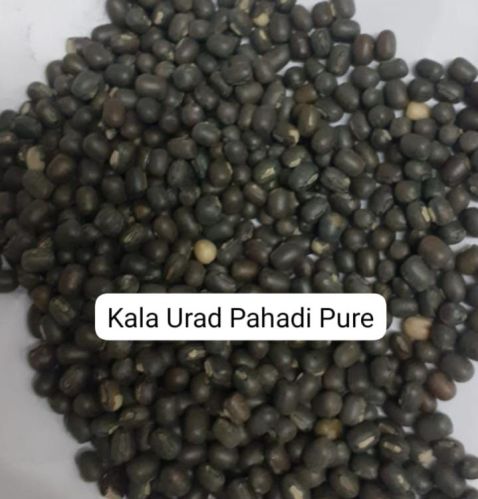 Granules Black Pahadi Sabut Urad Dal, For Cooking, Grade Standard : Food Grade