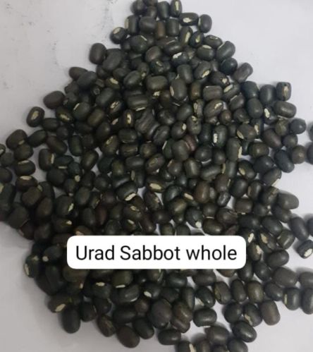 Black Sabut Urad Dal, For Cooking, Form : Granules