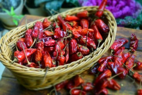 Organic Dried Red Chilli, For Spices, Cooking, Form : Solid