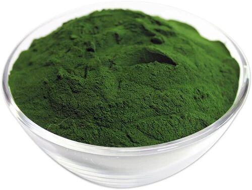 Chlorella Powder, Packaging Size : 1 To 25kg