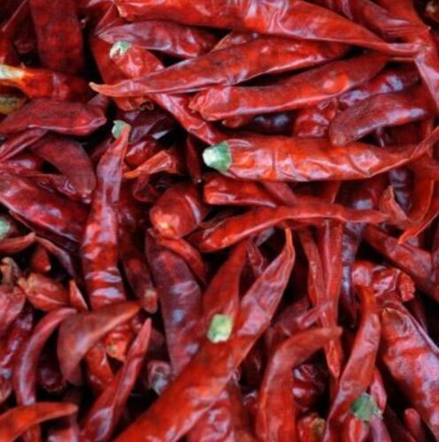 Guntur Sannam Chili, Shelf Life : 1year