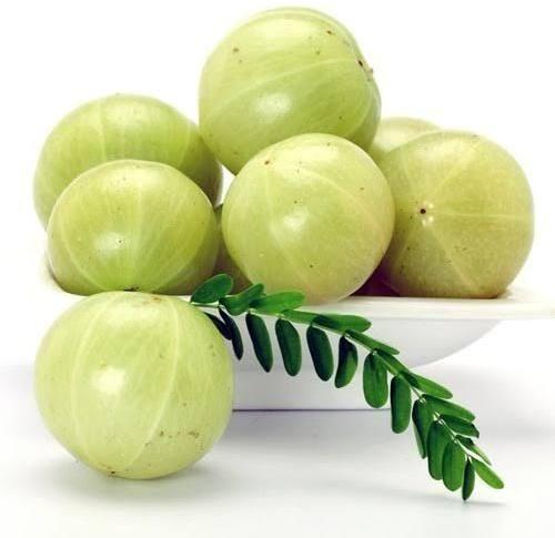 Green Organic Fresh Amla, Style : Natural