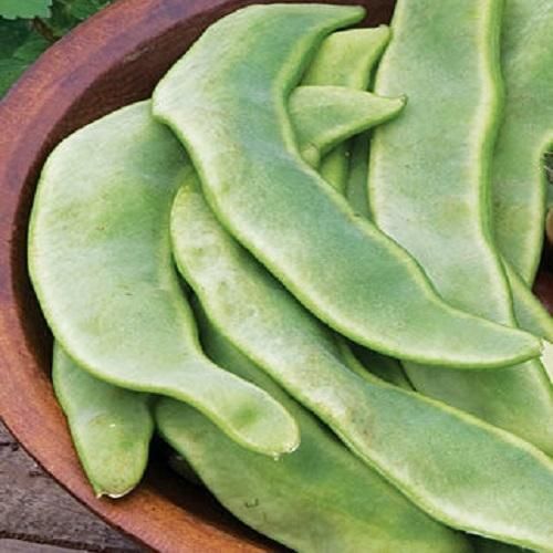 Green Organic Fresh Flat Beans, For Cooking, Style : Natural