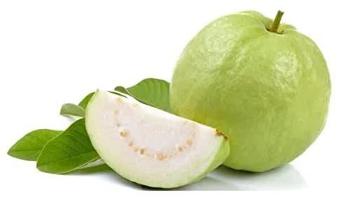 Green Round Organic Fresh Guava, For Human Consumption