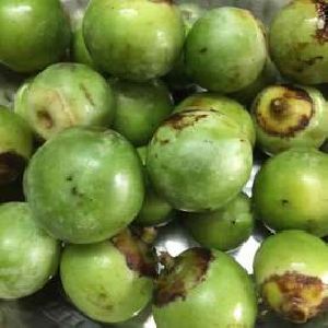 Green Organic Fresh Lasoda, For Cooking, Style : Natural