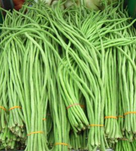 Green Organic Fresh Long Beans, For Cooking, Style : Natural